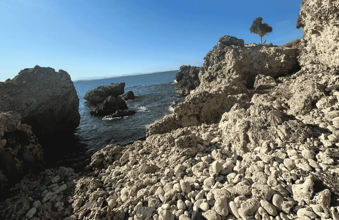 Rocky scene by ocean